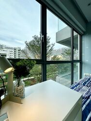 A Treasure Trove (D19), Condominium #503935081